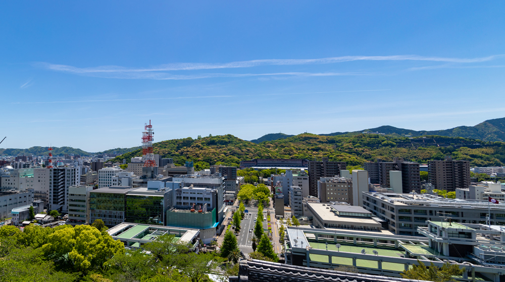地域医療・ヘルスケア事業支援